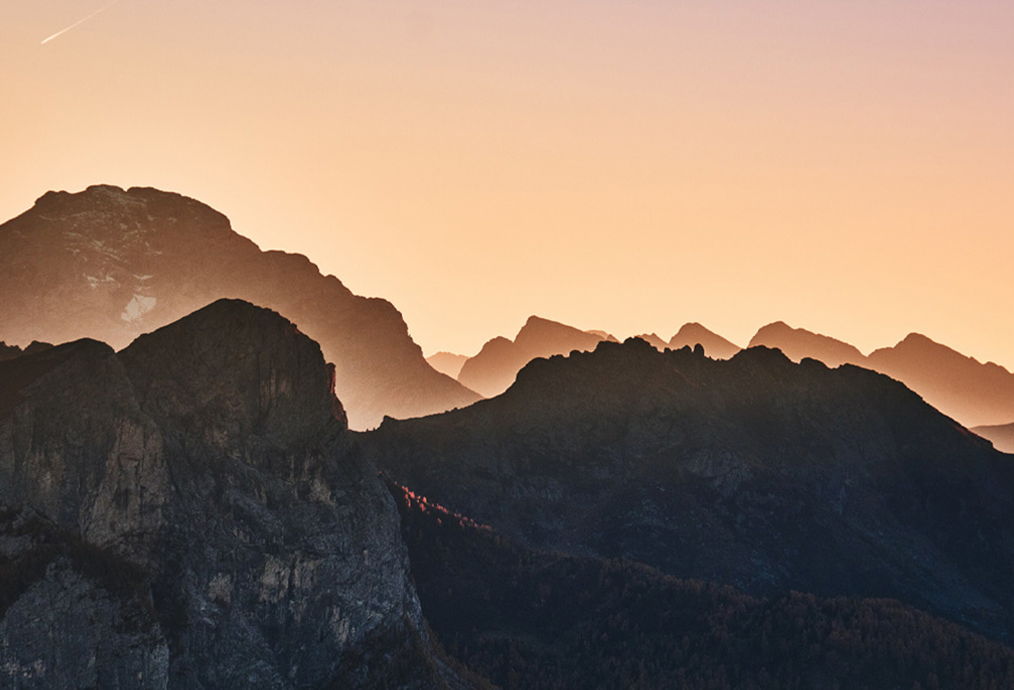 1300X655 6 (1)
