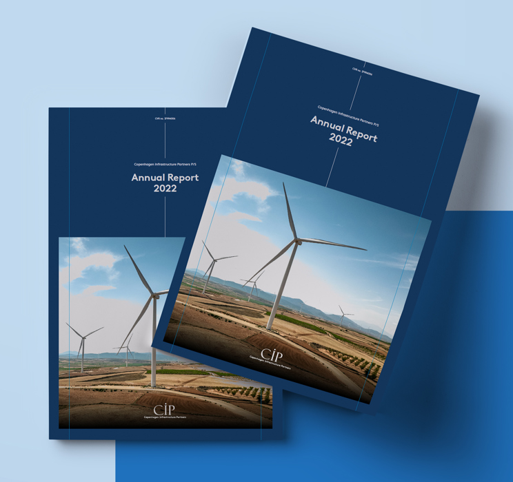 CIP Annual Report (2)