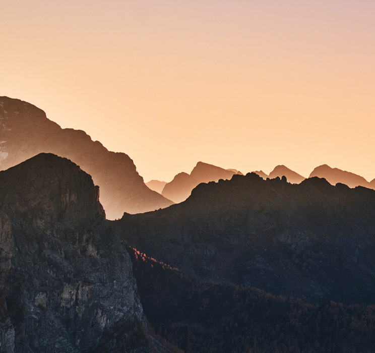 1300X655 6